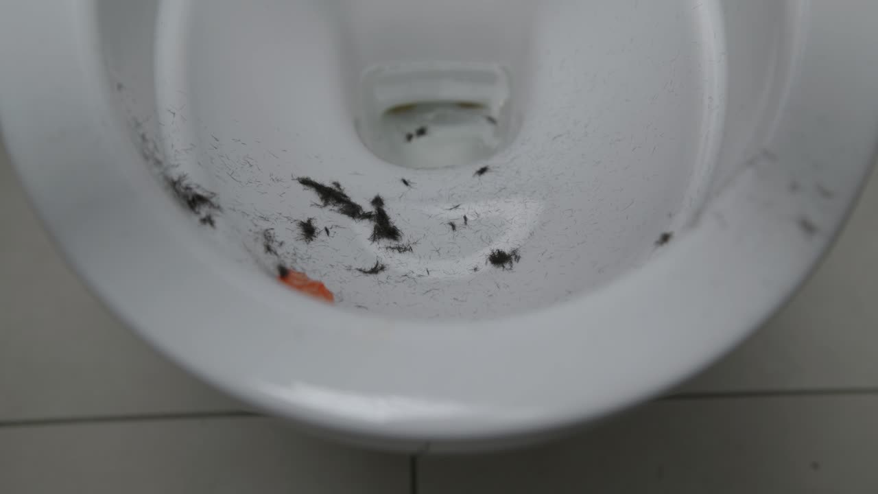 Top-down view of hair clippings inside a white toilet bowl after shaving a head. A razor is tapped out above, loose hairs scattered across the clean porcelain surface