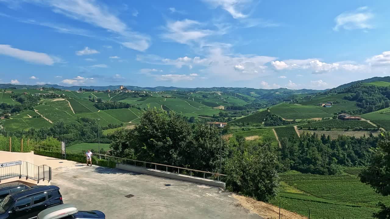 viñedos exuberantes bajo un cielo azul claro