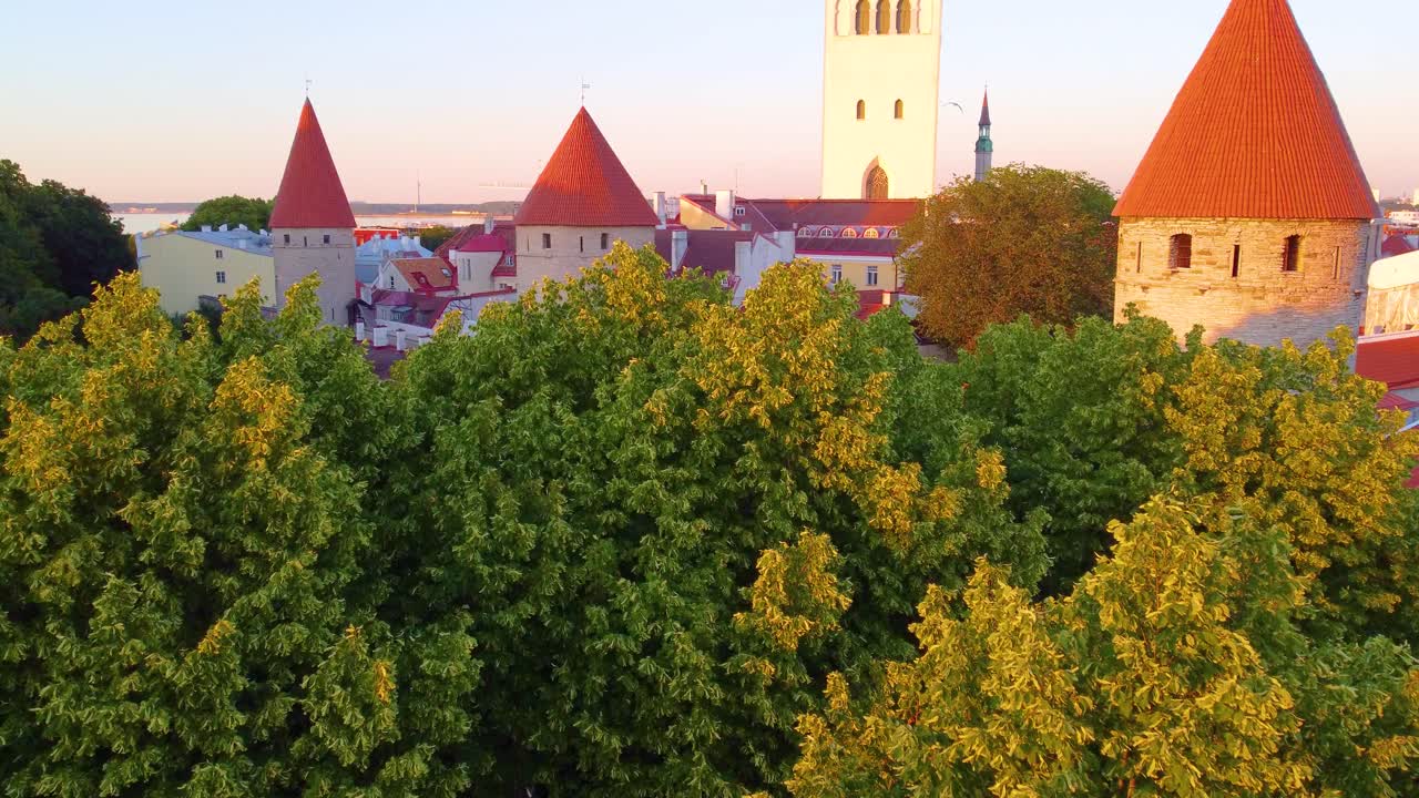 Scenic aerial ascending above trees over the rooftops in Tallinn, Estonia, showcasing the historic architecture surrounded by lush greenery
