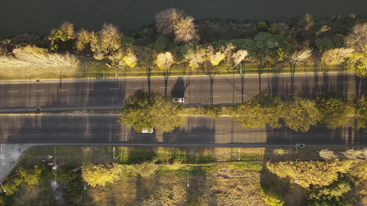 해가 질 때 가로수길의 다이내믹한 하향식 공중 영상과 고속도로를 따라 그림자를 드리우는 나무