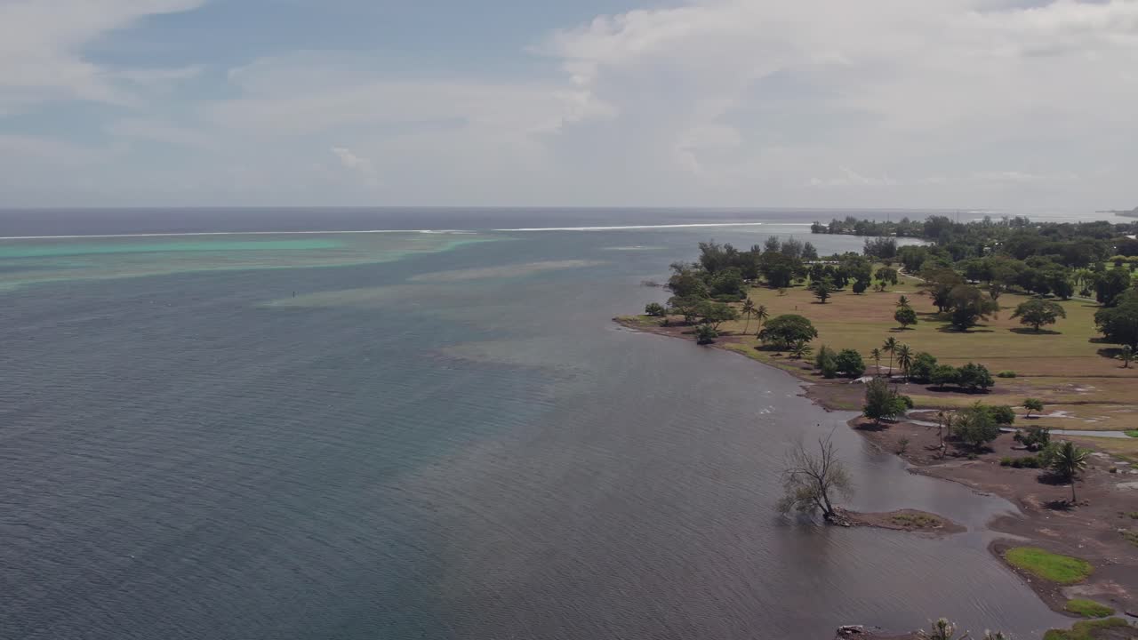Vista aérea de uma praia taitiana com coqueiral e montanhas escarpadas ao longe