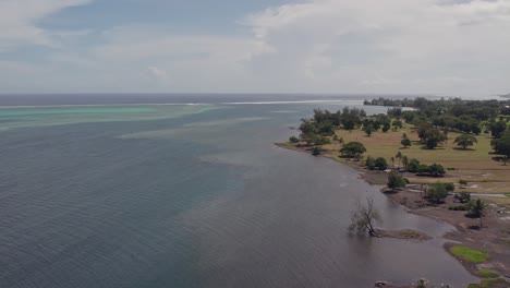 ariel view of tahitian beach with coconut grove and rugged mountains in the distance