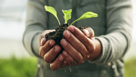 Farmer-hands,-plants-and-gardening-soil