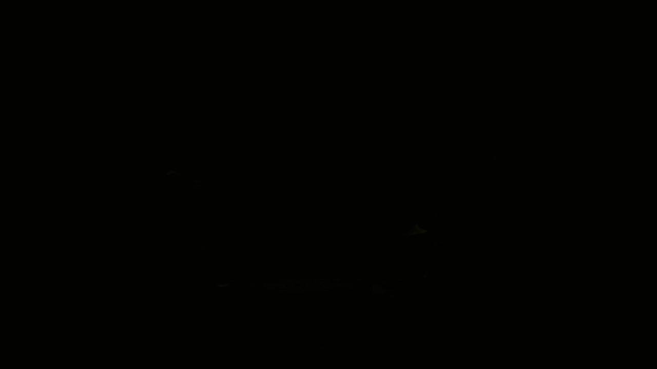 Dynamic Abstract Green Light Animation on Black Background