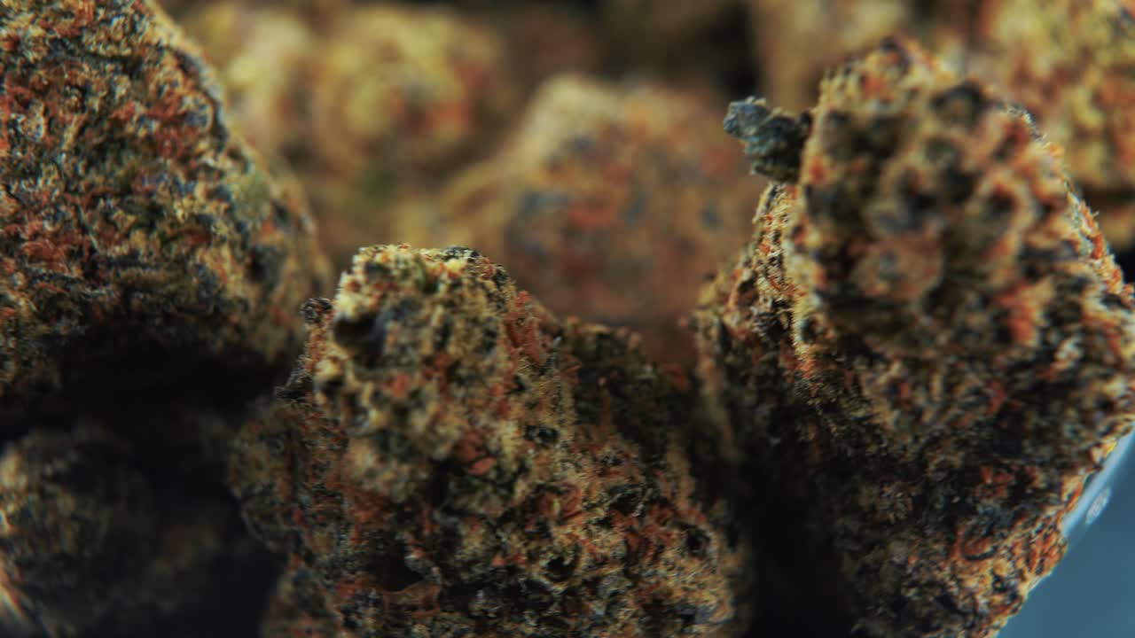 A macro cinematic detailed shot of a cannabis plant, orange hybrid strains, Indica and sativa , purple marijuana flower, on a rotating stand, slow motion, 4K, professional studio lighting