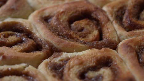 close up, isolated view of homemade freshly baked cinnamon rolls - tantalizingly yummy