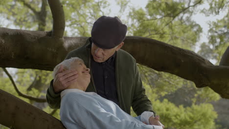 white haired smiling elderly man stroking his wife's face while relaxing in park on sunny autumn day