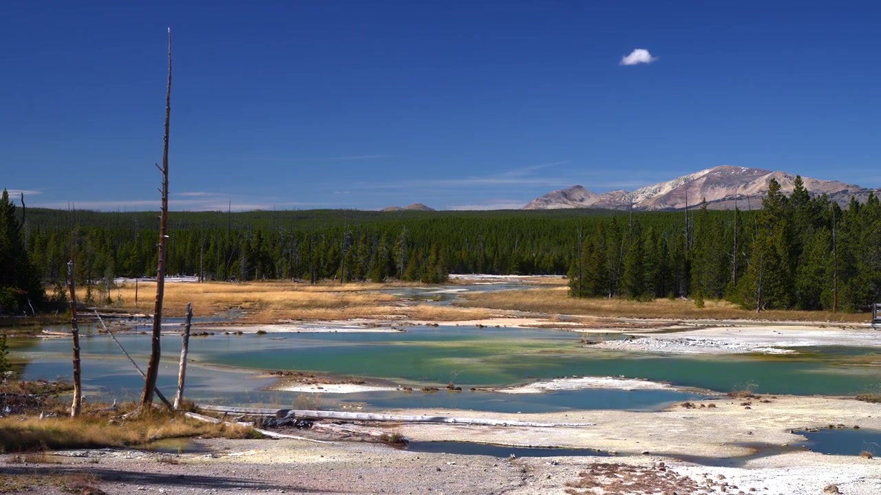 Norris Geysirbasseng Steamboat Geysir gangvei sti Høst dagtid blå himmel Norris veikryss Yellowstone nasjonalpark Wyoming Artist Paintpot naturskjønne varme kilder geotermisk naturlandskap