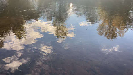 beautiful shot of a lake reflecting trees, cloudy sky and landscape