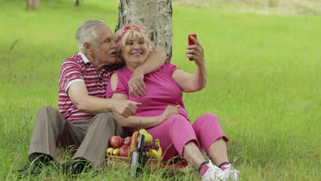 picnic familiar de fin de semana. pareja de abuelos mayores en el parque usando teléfono inteligente llamada de video en línea