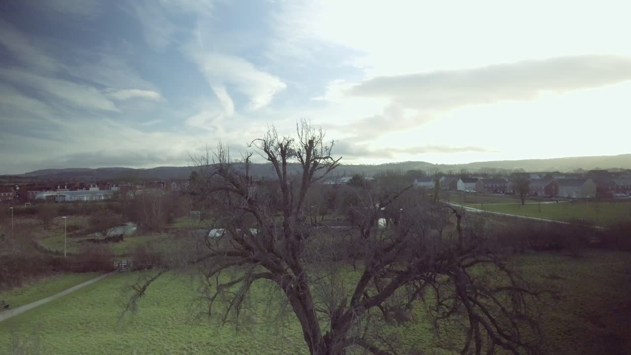 Barren Trees On A Cloudy Day In Gloucester Park In United Kingdom - Aerial Drone Shot