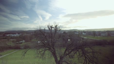 barren trees on a cloudy day in gloucester park in united kingdom - aerial drone shot