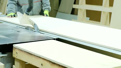 circular saw in action, carpenter cutting out sheets of plywood. manufacture of wooden furniture