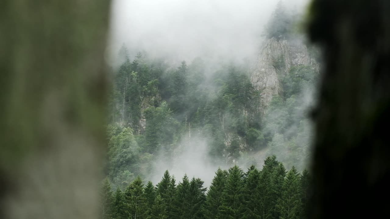 Pedestal move on a beautiful mountain forest and cliffs revealing ghost trees, ethereal moody landscape