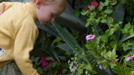 caucasian baby picking flowers in garden