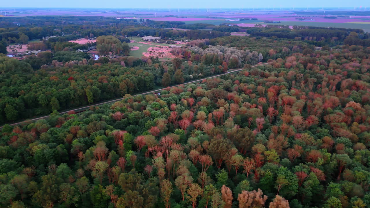 Autumn hues in forest. Vibrant autumn hues fill the forest as trees transition to shades of orange and red, overlooking a serene valley