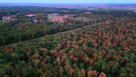 autumn hues in forest. vibrant autumn hues fill the forest as trees transition to shades of orange and red, overlooking a serene valley