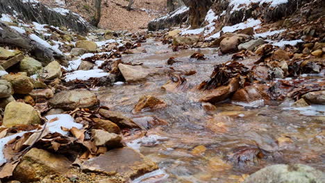 corriente de agua en zigzag en un pequeño arroyo en el bosque durante las nevadas en invierno