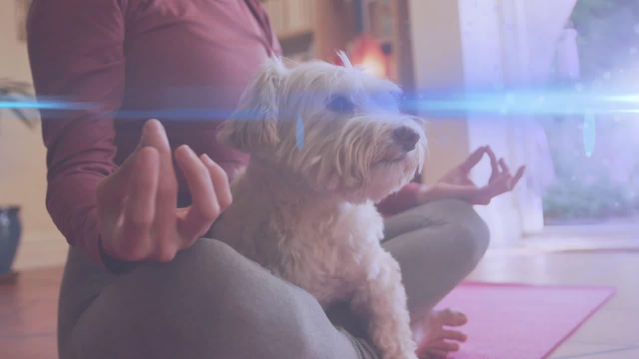 Woman meditating on mat for wellness, dog moving into lap seeking comfort, blue flare highlighting