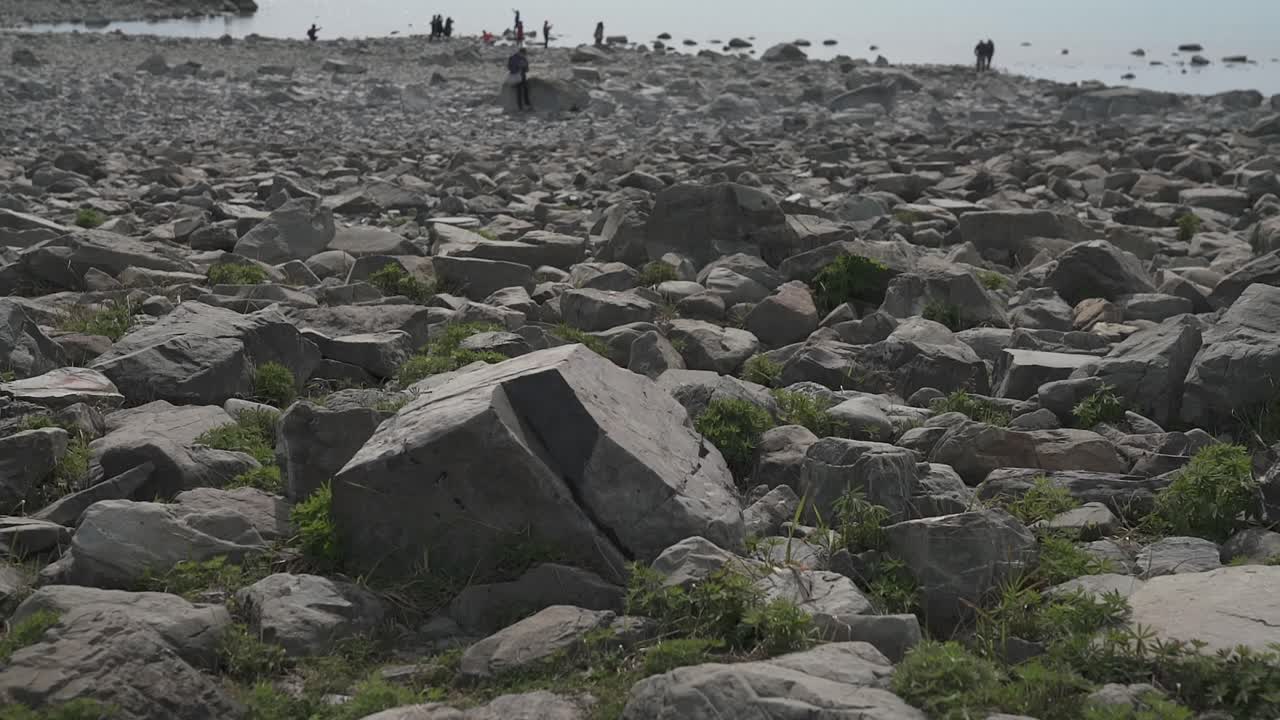 tilting up from the beach to the lake tikapo and snow mountain