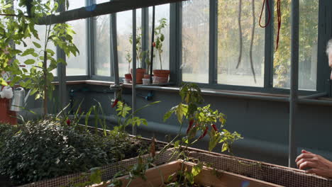 gardener working indoors