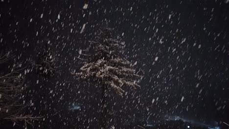 Nevadas-En-Pino-Por-La-Noche-En-Temporada-De-Invierno