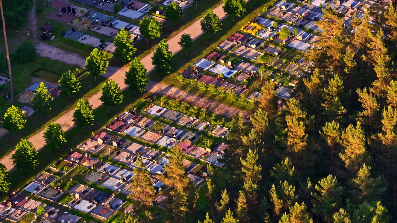 Forest cemetery with densely packed graves surrounded by trees and evening sunlight