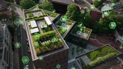 eco-friendly rooftop gardens