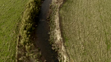 Straight-down-aerial-view-of-a-river-then-tilt-up-to-reveal-farmland-with-cattle-grazing-in-a-green-meadow