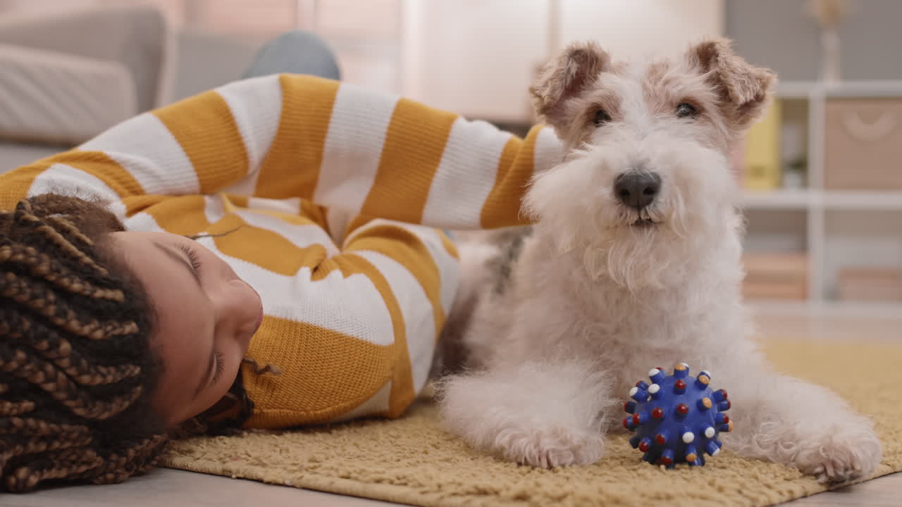 девочка и собака с игрушкой