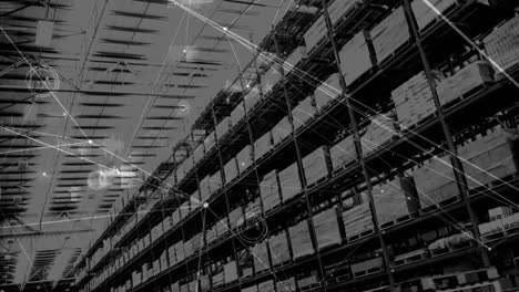 animation of network of connections over shelves in warehouse