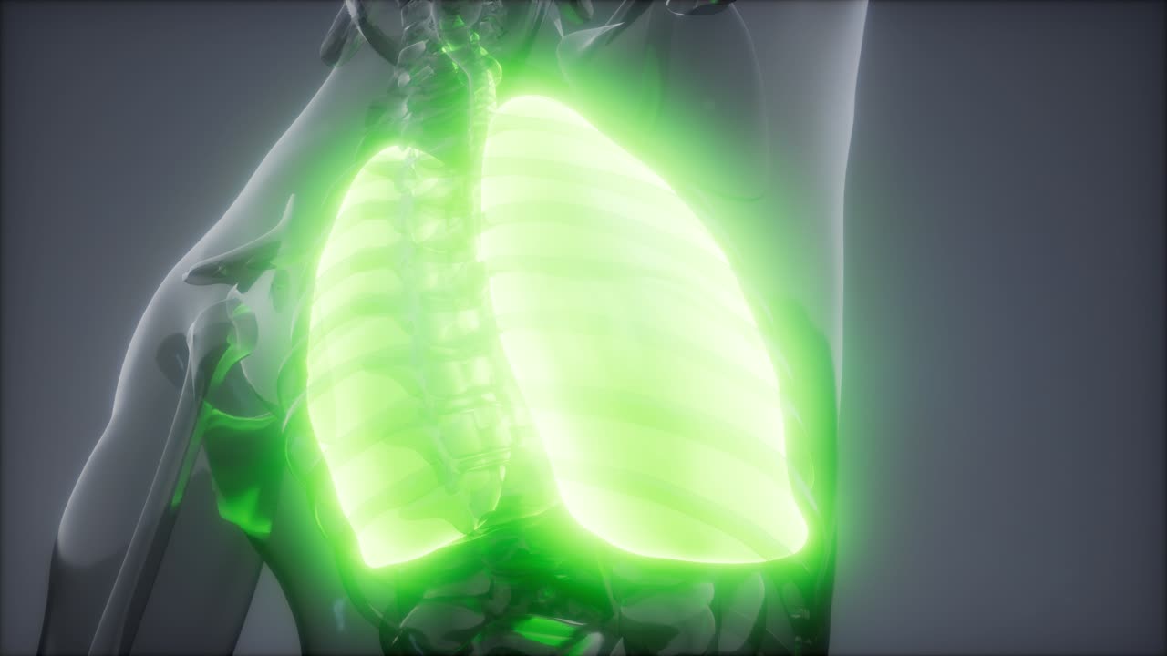 examen radiológico de los pulmones humanos