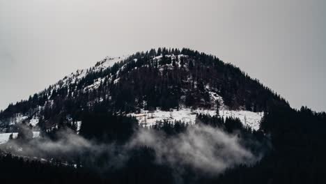 Hermoso-Paisaje-Invernal-Con-árboles-Cubiertos-De-Nieve-Y-Niebla,-Vista-De-Lapso-De-Tiempo