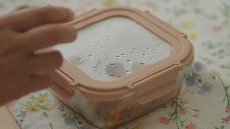 food container with lid