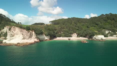 flying around limestone rocks in the coromandel