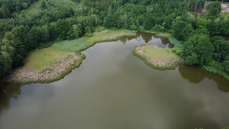 Toma-De-Drone-De-Un-Estanque-En-Un-Santuario-De-Aves.