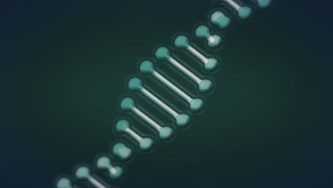 animación de la cadena de adn sobre una red de conexiones sobre un fondo negro