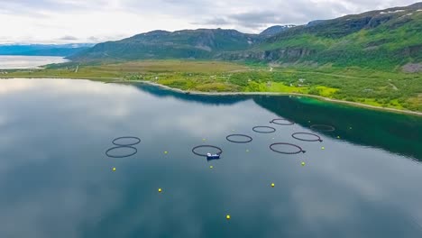 aerial footage farm salmon fishing in norway