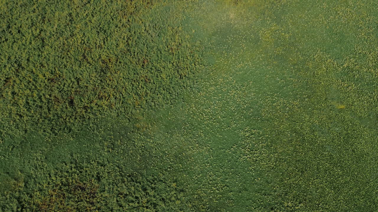 Lush green fields stretching across Tay Ninh, South Vietnam, captured from above