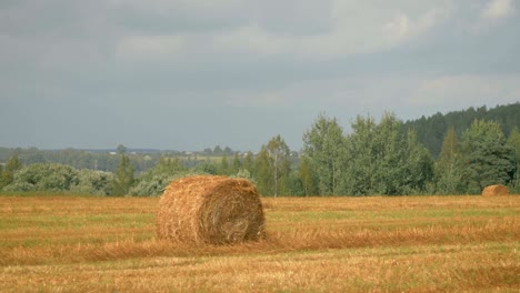 campo con pajares en un caluroso día de verano después de la cosecha en movimiento