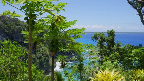 Un-árbol-De-Papaya-Ubicado-Cerca-Del-Impresionante-Y-Vasto-Océano-Durante-El-Día