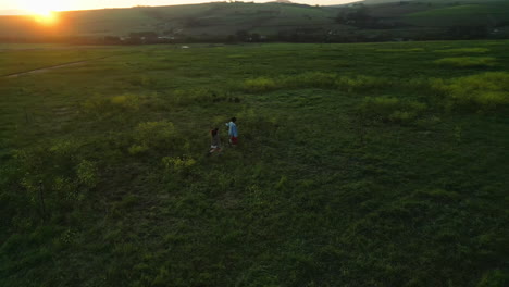 Aerial-view,-green-and-people-walking-on-grass