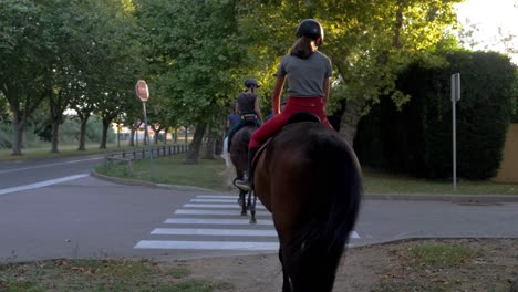 group of female equestrian riding horses on asphalt