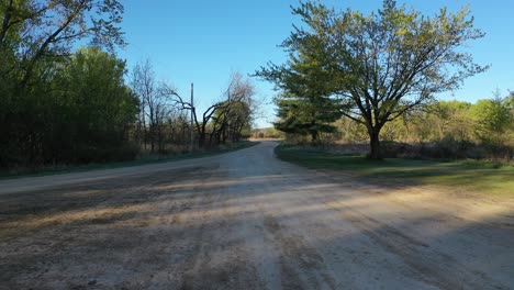 country road through a forest at dawn