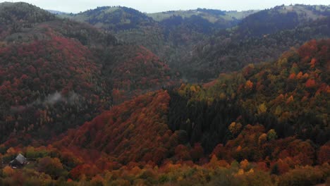 Aerial-reveal-of-a-rural-cottage-in-a-valley-with-fall-colored-trees,-tilt-up