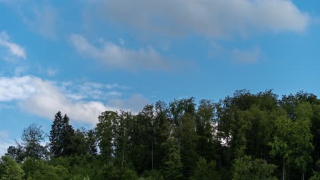 Zeitraffer-Der-Bewegung-Weißer-Wolken-über-Grünen-Bäumen,-Während-Der-Halbmond-Am-Frühen-Abend-Von-Links-Nach-Rechts-Aufgeht