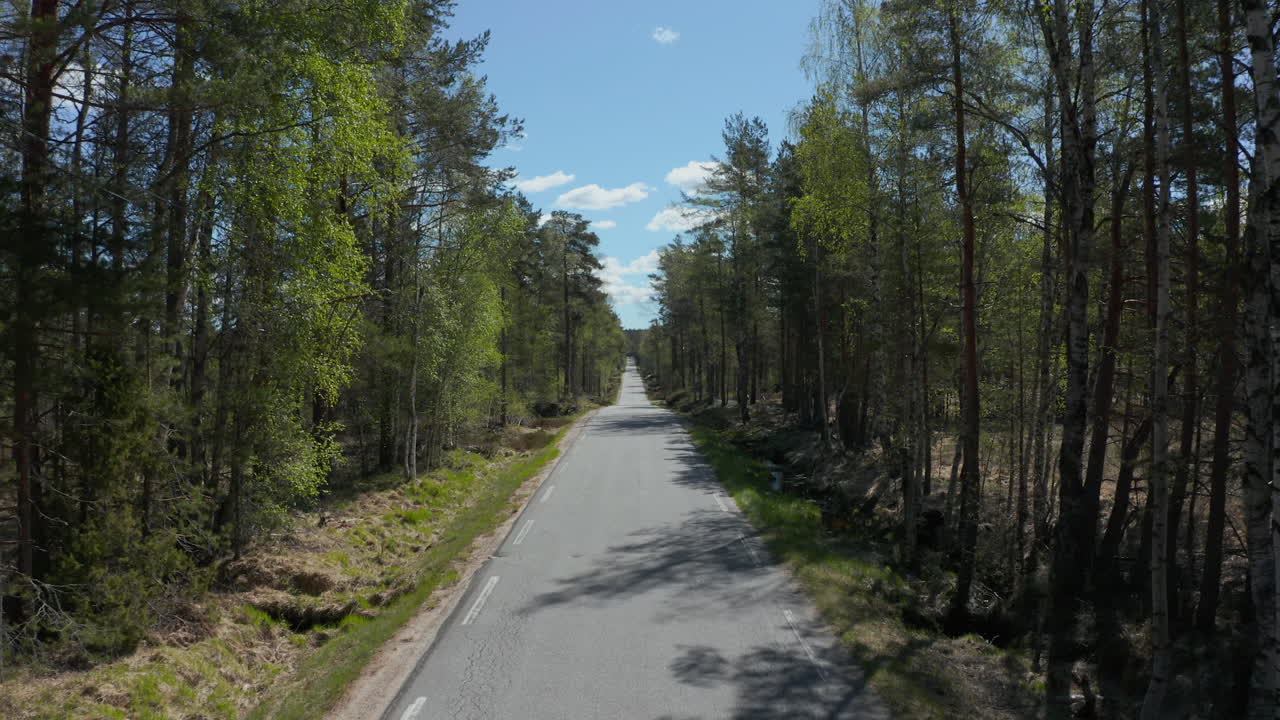 vista aérea sobre una carretera asfaltada en el bosque, día soleado, en el sur de noruega - tiro bajo, drone
