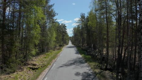 Luftaufnahme-über-Eine-Asphaltierte-Straße-Im-Wald,-Sonniger-Tag,-In-Südnorwegen---Niedrig,-Drohnenaufnahme