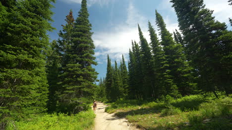 Young-Woman-on-Hiking-Trail-in-Scenic-Green-Landscape-on-Sunny-Summer-Day