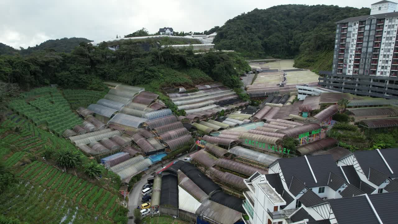 말레이시아의 카메론 하이랜드 지역 내의 브린창 지역의 일반 풍경